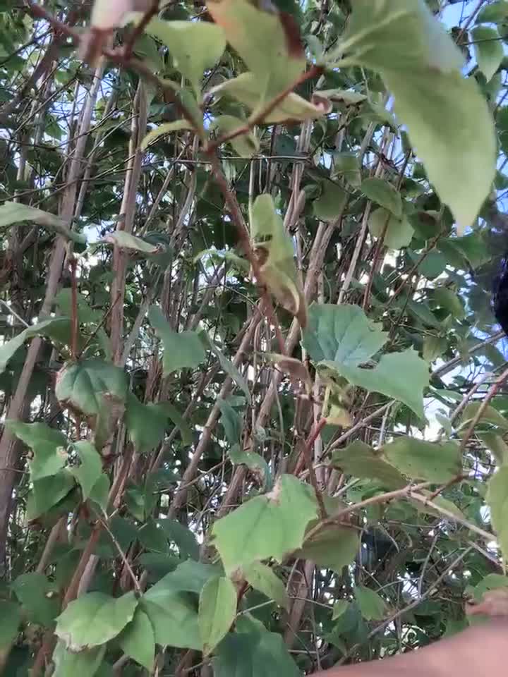 Risky_Workouts